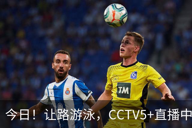今日！让路游泳，CCTV5+直播中国男篮VS伊朗，郭士强率爱将胡明轩等CBA球员冲击亚运会铜牌